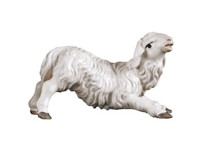 Ul. Lamm kniend color